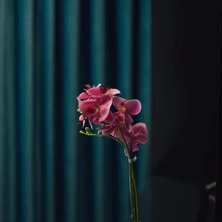شقة Brilant Luxury *