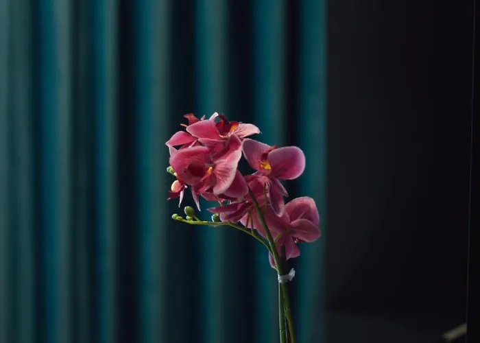 Apartament Brilant Luxury *