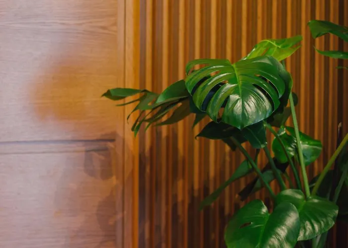 Brilant Luxury Apartament *